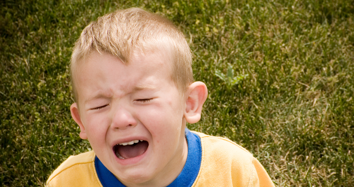 Does EllaOla Multivitamin help with my child's mood regulation?