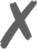 X Icon